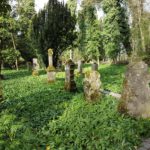 Hohentwiel (18) - Friedhof mit Bärlauch