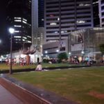 Nachtaktive an der Orchard Road