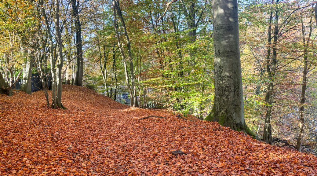 20241026 Herbsttour (5)